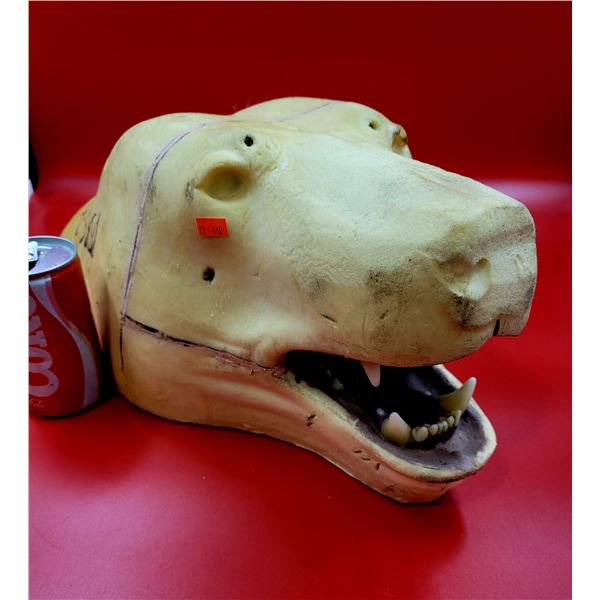Taxidermy Bear Skull Mould