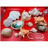 Image 1 : Misc. Sea Shells Lot