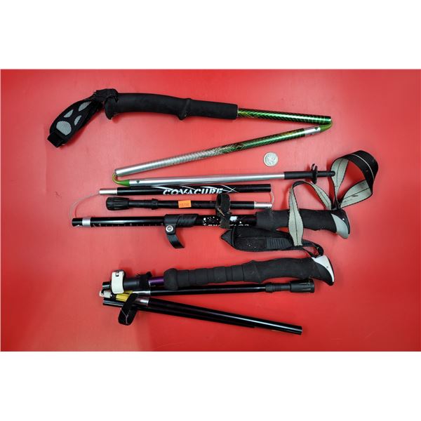 Collapsible Walking Sticks/Avalanche Probes