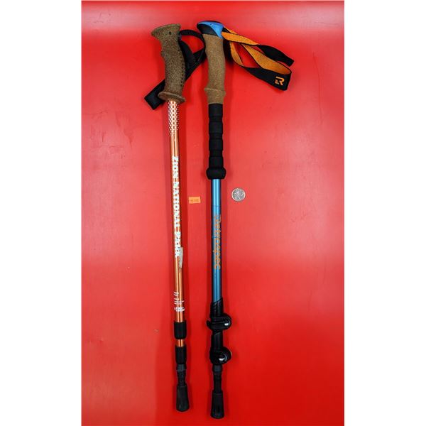 Collapsible Walking Sticks/Avalanche Probes