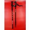 Image 1 : Collapsible Walking Sticks/Avalanche Probes
