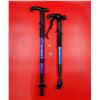 Image 1 : Collapsible Walking Sticks/Avalanche Probes