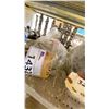 Image 3 : GROUP LOT OF 5 REFURBISHED STANADYNE FUEL PUMPS. 3262F888, U3042F581, 8923A012W, 3240F938, 3249F490
