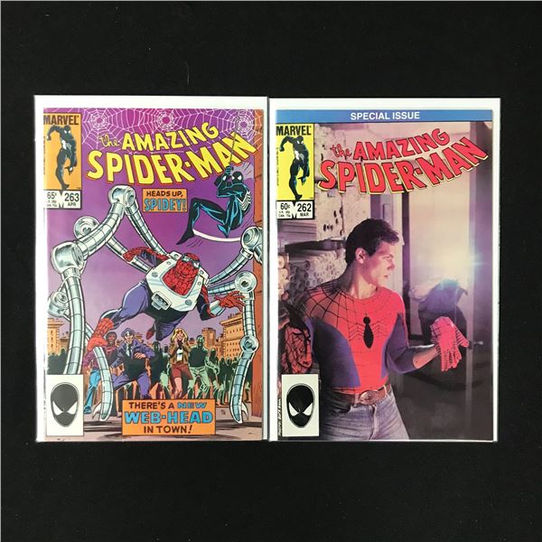 LOT OF 2 THE AMAZING SPIDERMAN COMICS (MARVEL COMICS)