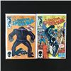 Image 1 : LOT OF 2 THE AMAZING SPIDERMAN COMICS (MARVEL COMICS)