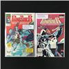 Image 1 : LOT OF 2 THE PUNISHER COMICS (MARVEL COMICS)