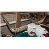 Image 2 : LONG HORN CATTLE SKULL- DECORATIVE WALL PIECE