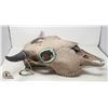 Image 2 : BUFFALO SKULL WITH DECORATIVE PAINTED ACCENTS
