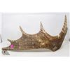Image 1 : CARVED MOOSE ANTLER