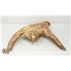 Image 1 : ANTLER CARVING; BEAR