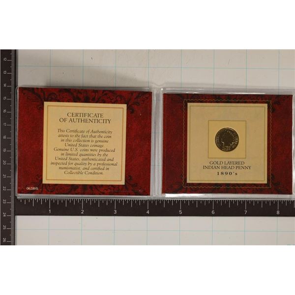 GOLD LAYERED 1896 INDIAN HEAD CENT IN PLASTIC INFO