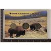 Image 1 : AMERICAN BUFFALO SERIES 3 COIN SPIRIT OF A NATION