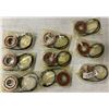 Image 9 : Lot of (9) NTN #ENC0205 Encoder Sensor Bearing