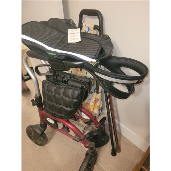 Evolution Walker & More A