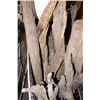Image 4 : Wooden  logs petrified