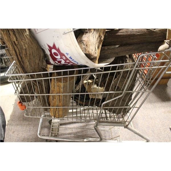 Wooden logs petrified