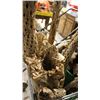 Image 3 : Collection of cactus wood/Drift wood pieces