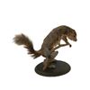 Image 4 : Taxidermy Squirrel Puppet Movie Props