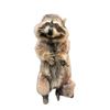 Image 1 : Dr. Doolittle Animatronic Life Size Racoon TV/Movie Props