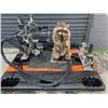 Image 2 : Dr. Doolittle Animatronic Life Size Racoon TV/Movie Props