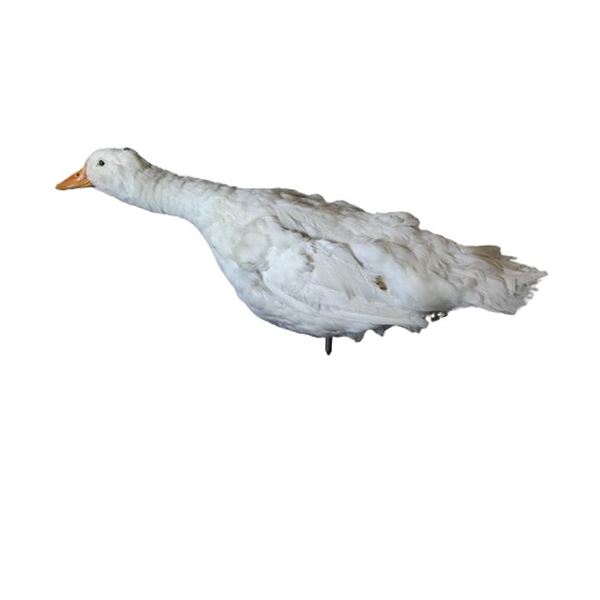 Ted Movie Animatronic Duck Puppet Movie Props