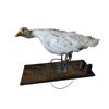 Image 2 : Ted Movie Animatronic Duck Puppet Movie Props