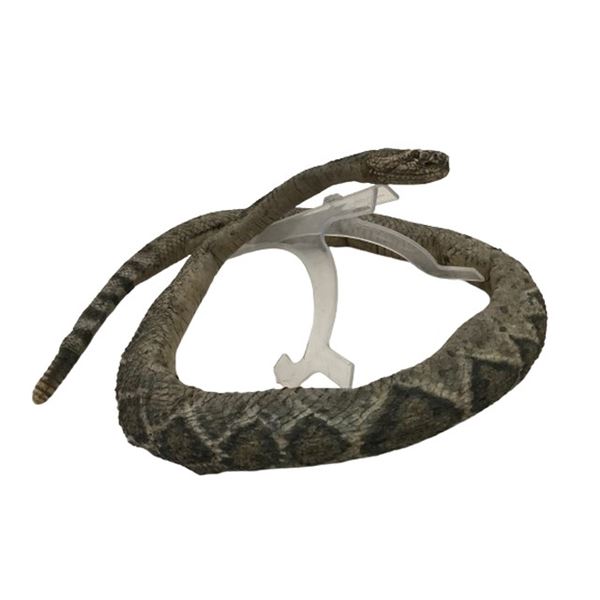 Terminator Franchise SFX Rattlesnake Movie Props