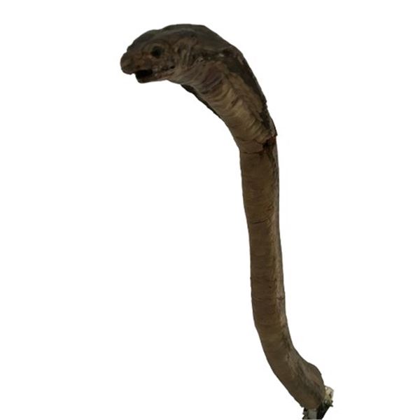 Crocodile Dundee II Animatronic Cobra Snake Movie Props