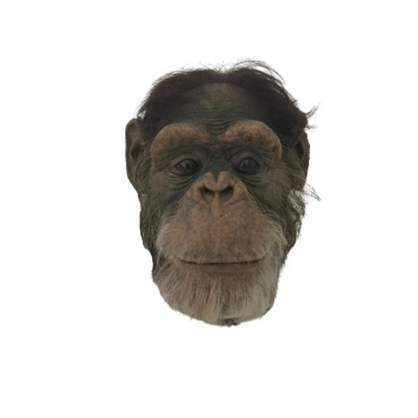 Ed Movie Chimpanzee Maquette Movie Props