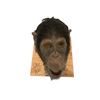 Image 1 : Ed Hero Animatronic Chimpanzee Head