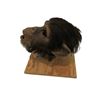 Image 5 : Ed Hero Animatronic Chimpanzee Head