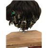 Image 6 : Ed Hero Animatronic Chimpanzee Head