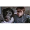 Image 7 : Ed Hero Animatronic Chimpanzee Head
