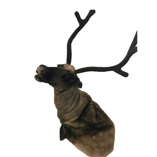 Jingle All The Way Reindeer Head and Antlers Movie Props