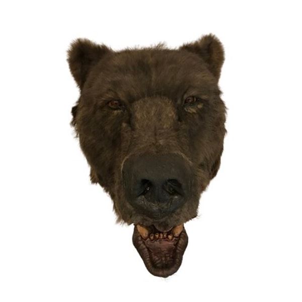 The Edge Animatronic Bear Head Movie Props