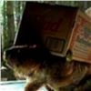 Image 12 : Life Size SFX Beaver Water Version Puppet Movie Props