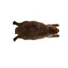 Image 3 : Life Size SFX Beaver Water Version Puppet Movie Props