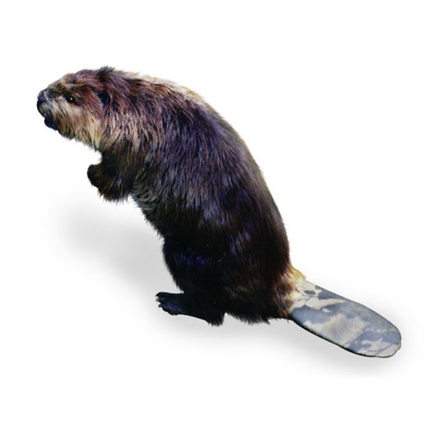 Animatronic Beaver Puppet TV/Movie Props