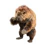 Image 2 : Animatronic Beaver Puppet TV/Movie Props