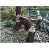 Image 4 : Animatronic Beaver Puppet TV/Movie Props