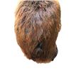 Image 8 : Animatronic Beaver Puppet TV/Movie Props