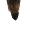 Image 5 : SFX Beaver Paw/Arm Puppet Movie Props