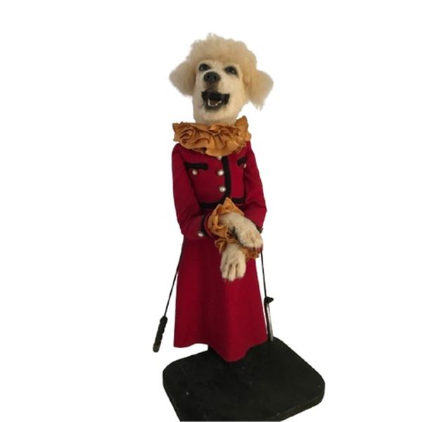 Interview with the Vampire/Zoo Life TV Prototype SFX Poodle