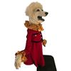 Image 2 : Interview with the Vampire/Zoo Life TV Prototype SFX Poodle