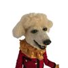 Image 5 : Interview with the Vampire/Zoo Life TV Prototype SFX Poodle