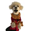 Image 6 : Interview with the Vampire/Zoo Life TV Prototype SFX Poodle