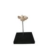 Image 2 : Stuart Little Prototype Mouse Head Movie Props