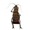 Image 1 : Ban Dai Commercials Roach SFX Puppet Movie Props