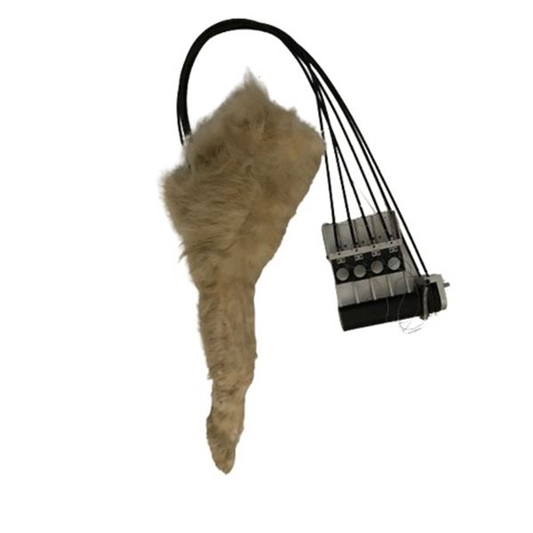 Animatronic Wolf Leg Movie Props