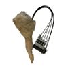 Image 3 : Animatronic Wolf Leg Movie Props